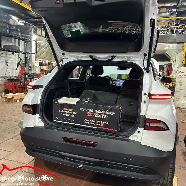 Độ cốp điện thông minh cho VF6