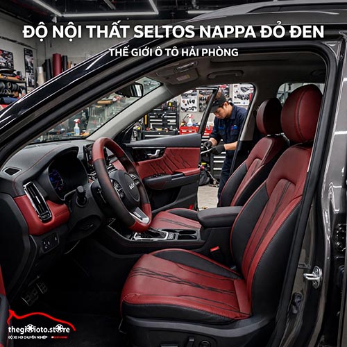 Độ nội thất Nappa cho Seltos